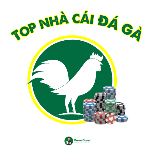 Top nhà cái đá gà uy tín được tổng hợp bởi Marco Caser